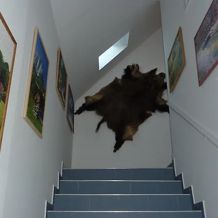 아파트 Bridgehaus 블로톤퓌레드